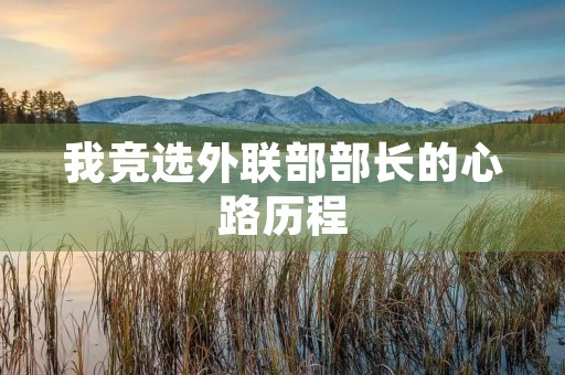 我竞选外联部部长的心路历程