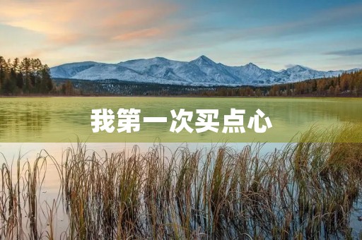 我第一次买点心 我第一次买点心