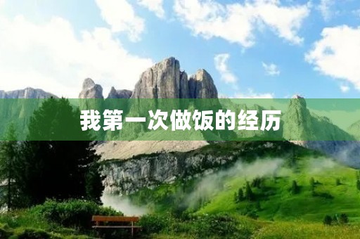 我第一次做饭的经历 我第一次做饭的经历