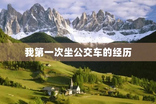我第一次坐公交车的经历 我第一次坐公交车的经历
