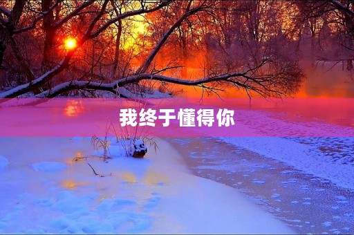 我终于懂得你 我终于懂得你