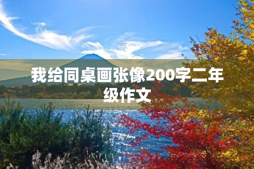 我给同桌画张像200字二年级作文