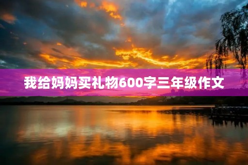 我给妈妈买礼物600字三年级作文