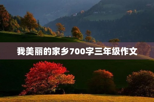 我美丽的家乡700字三年级作文