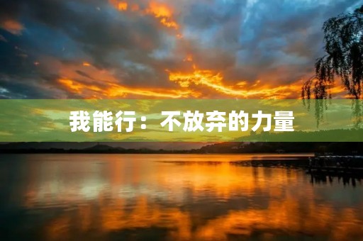 我能行：不放弃的力量