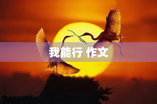 我能行 作文 我能行 作文