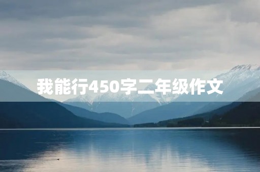 我能行450字二年级作文