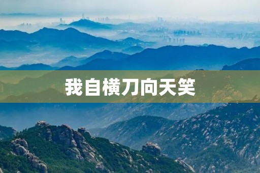 我自横刀向天笑 我自横刀向天笑