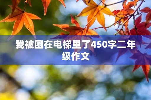 我被困在电梯里了450字二年级作文