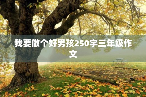 我要做个好男孩250字三年级作文