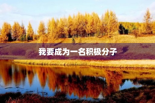 我要成为一名积极分子，向预备党员迈进！