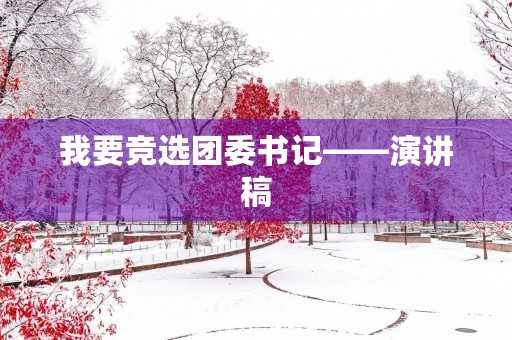 我要竞选团委书记——演讲稿