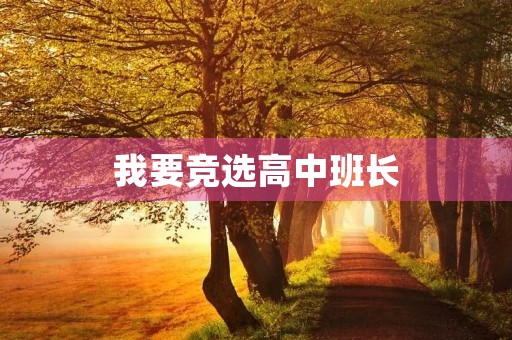 我要竞选高中班长