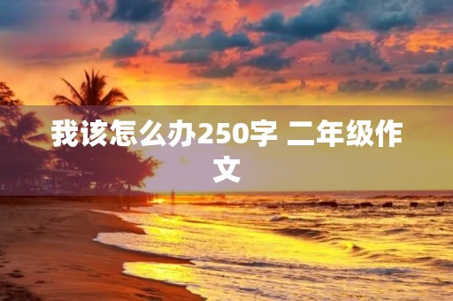 我该怎么办250字 二年级作文