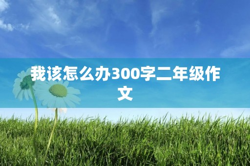 我该怎么办300字二年级作文