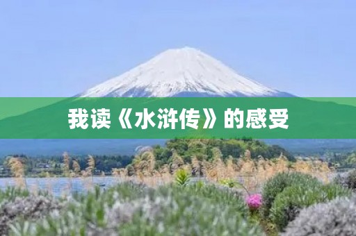 我读《水浒传》的感受