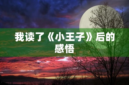 我读了《小王子》后的感悟 我读了《小王子》后的感悟
