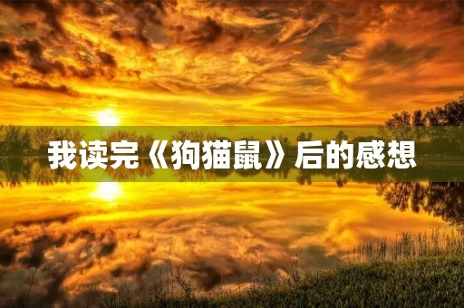 我读完《狗猫鼠》后的感想