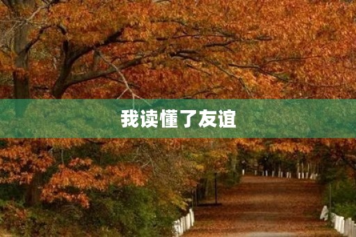 我读懂了友谊