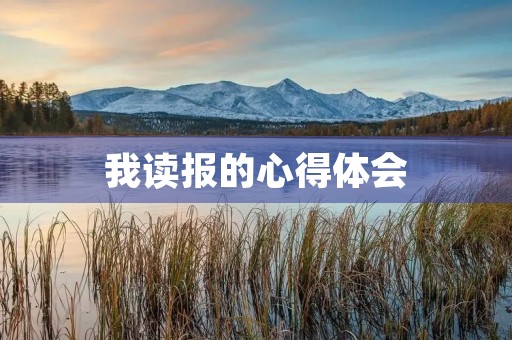 我读报的心得体会 我读报的心得体会