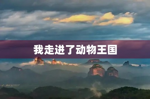 我走进了动物王国