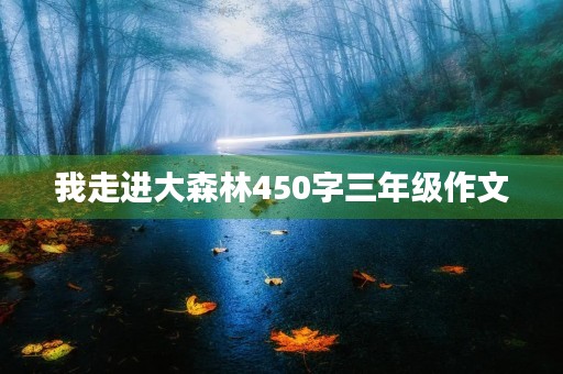 我走进大森林450字三年级作文