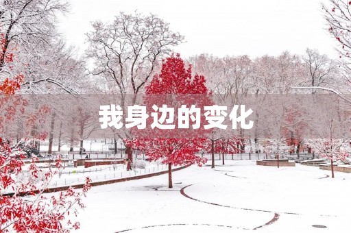 我身边的变化