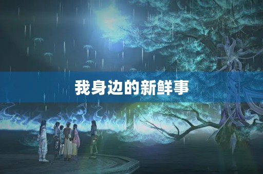 我身边的新鲜事