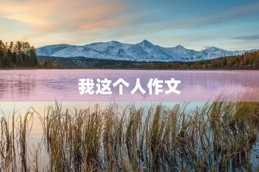 我这个人作文