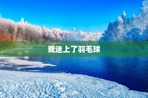 我迷上了羽毛球