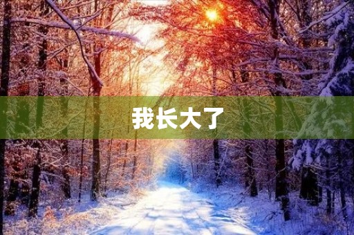 我长大了,我变成了什么样子? 我长大了,我变成了什么样子?