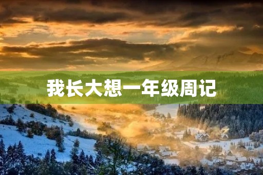 我长大想一年级周记 我长大想一年级周记