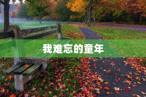 我难忘的童年 我难忘的童年