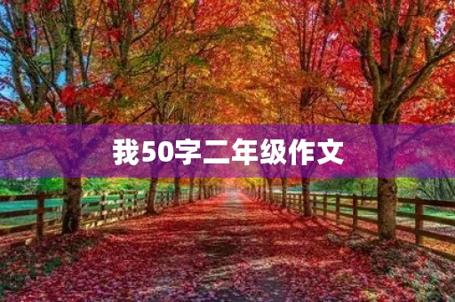 我50字二年级作文
