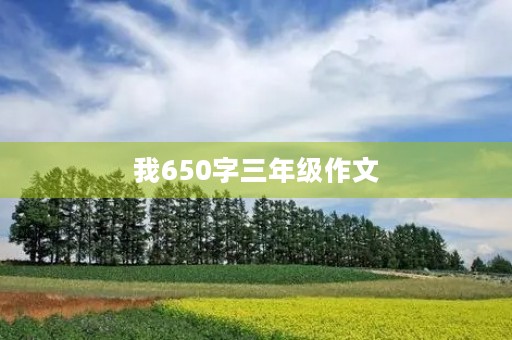 我650字三年级作文