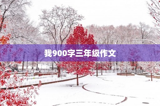 我900字三年级作文