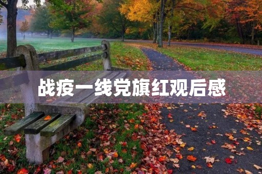 战疫一线党旗红观后感 战疫一线党旗红观后感