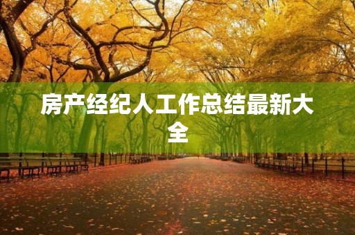 房产经纪人工作总结最新大全