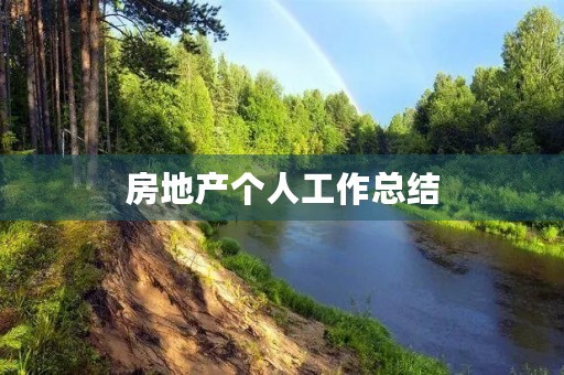 房地产个人工作总结