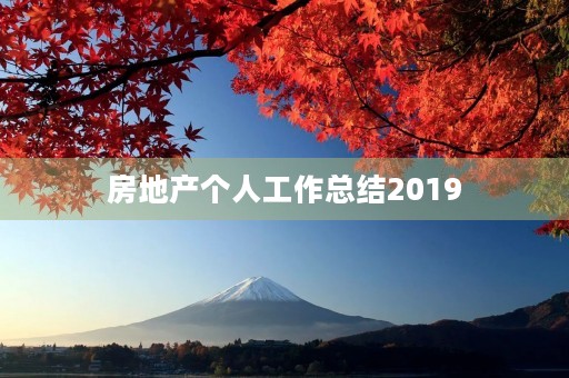 房地产个人工作总结2019