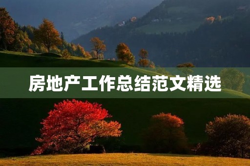房地产工作总结范文精选