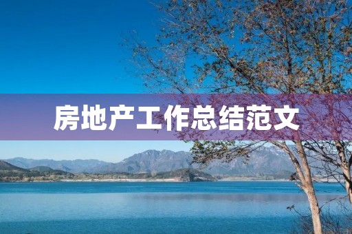 房地产工作总结范文