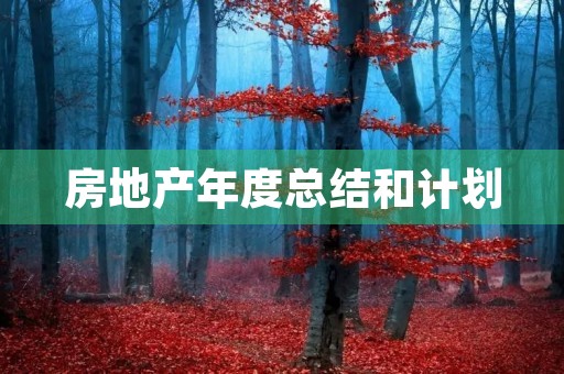 房地产年度总结和计划
