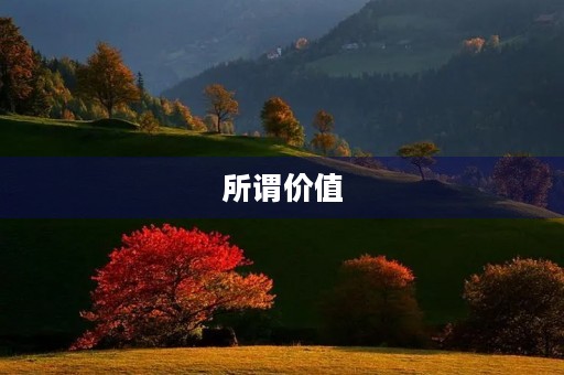 所谓价值