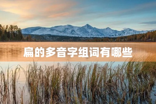 扁的多音字组词有哪些(扁的拼音)