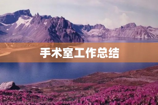 手术室工作总结