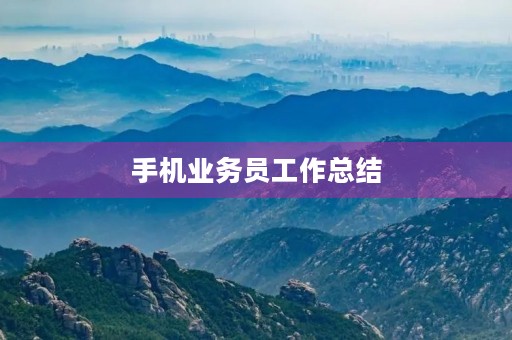 手机业务员工作总结