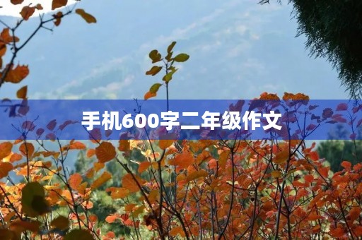 手机600字二年级作文 手机600字二年级作文