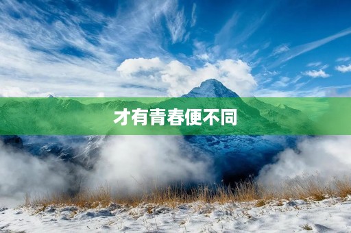 才有青春便不同 才有青春便不同