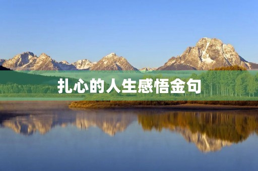 扎心的人生感悟金句(扎心的人生感悟金句简短) 扎心的人生感悟金句(扎心的人生感悟金句简短)